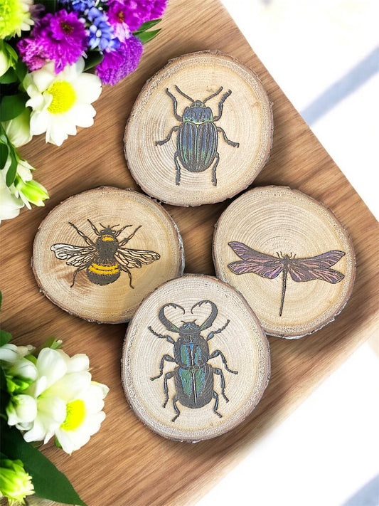 Dessous de verre Insectes