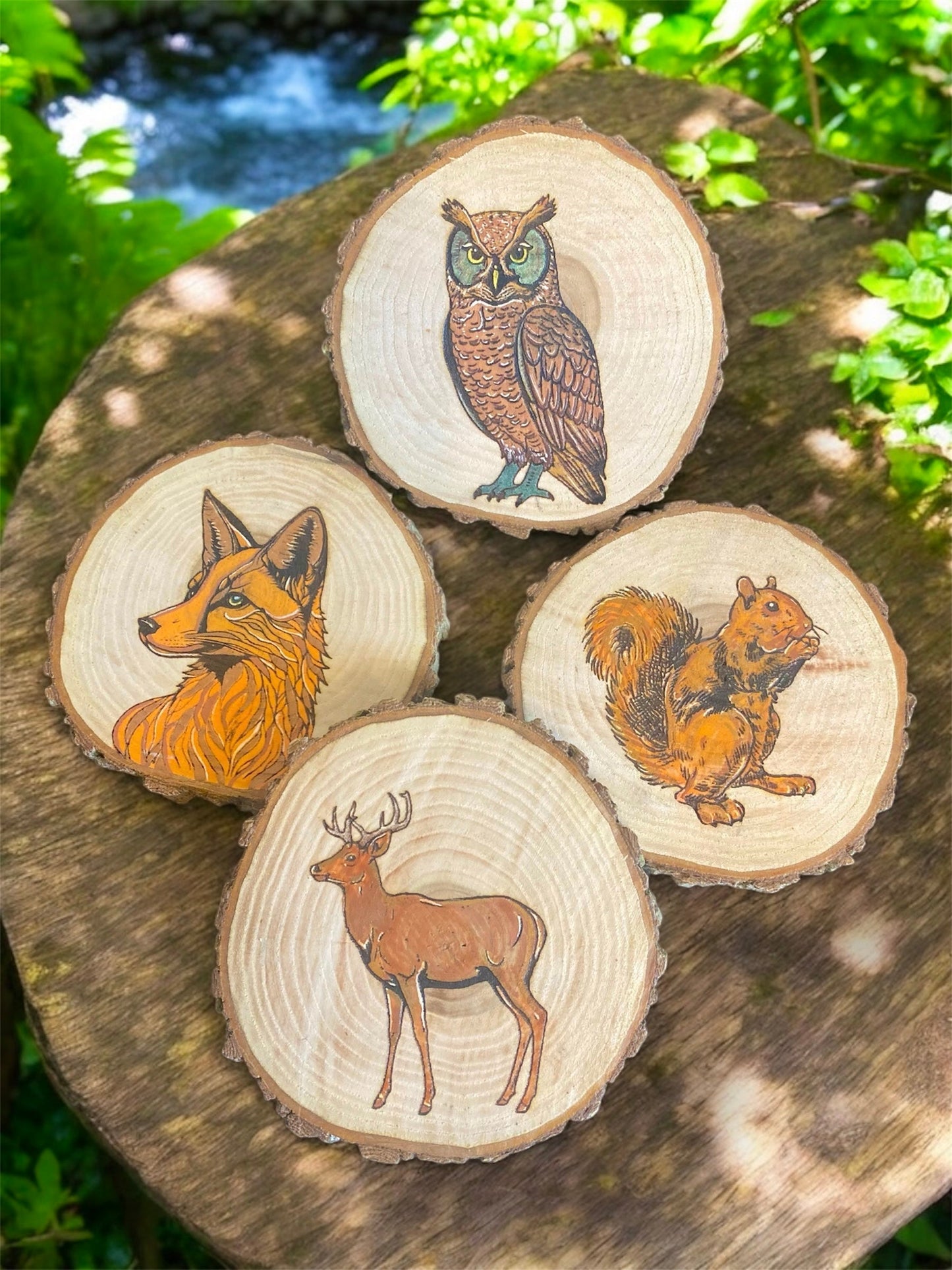 Dessous de verre animaux de la forêt